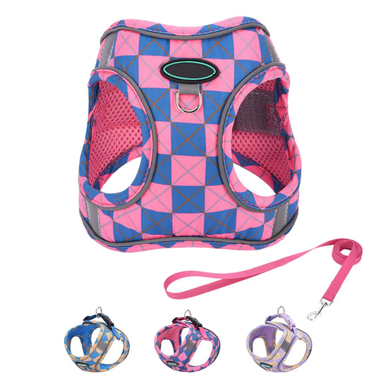 Step in Dog Harness and Leash Set Plaid Adjustable Easy Walk Puppy Harnesses Soft Mesh Pet Vest Harness Small Size Dog Adjustable No Pull Dog Harness for Small Medium Dogs(Blue Pink XS)