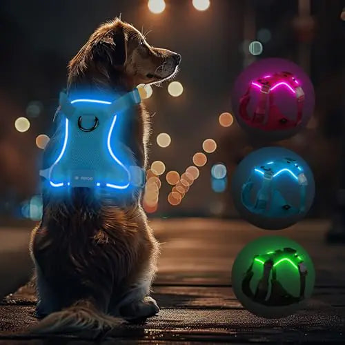 Feycig Light Up Dog HarnessLed Dog Harness Rechargeable Lighted Dog Harness for Night WalkingAdjustable Dog Safety Vest for Small Medium Large Dogs-No PullBlueS