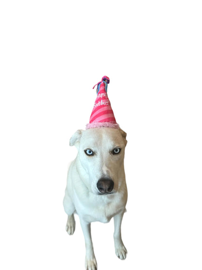 Plush Birthday Hat for Dogs That is Also a Dog Toy with Squeaker Pink Birthday Hat Toy for Small Medium and Large Dogs Pet Birthday Gifts (Pink Birthday Hat Toy)