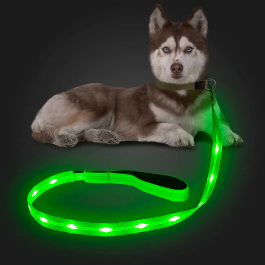 Candofly Reflective LED Dog Leash - Glow in The Dark Dog Leash USB Reachargeable Lighted Dog Rope 4 Ft Durable Water Resistant Flashing Dog Leash for Pet Dogs Walking at Night (Green)