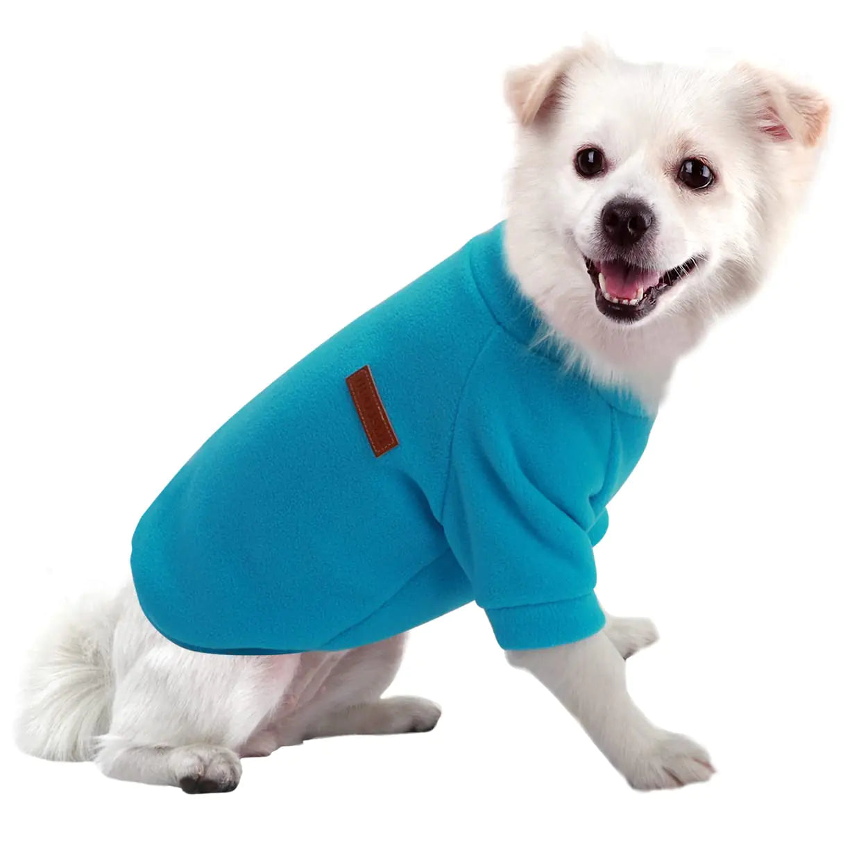 HuaLiSiJi Small Dog Sweater Dog Sweatshirts for Small Dogs Chihuahua Clothes Warm and Lightweight with a Soft Texture Easy to Wear and Bright Colors (Blue Small)