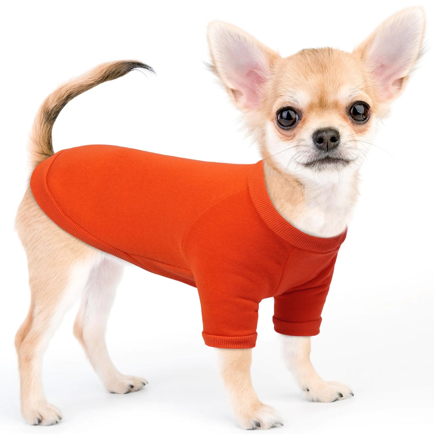 PUMYPOREITY Dog Hoodie for Small Dogs Soft Small Dog Sweater Pullover Sweatshirts Puppy Clothes for Chihuahua Pomeranian West Highland Shih Tzu Orange XL