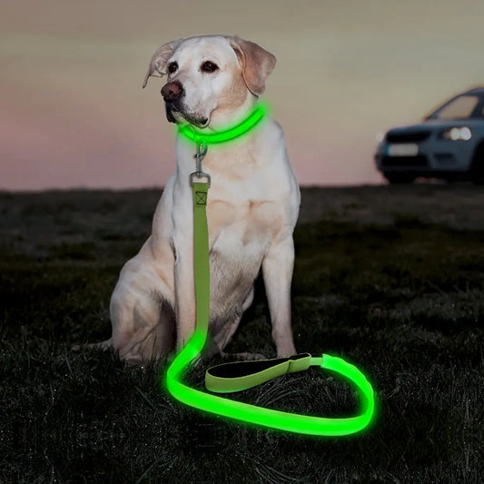 Illumifun LED Dog Leash 4FT Reflective Light Up Dog Leash Safety Flashing Dog Lead Light Glow in The Dark (Green Ⅲ)