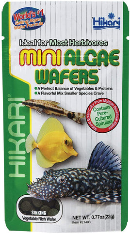 Hikari Mini Algae Wafers Sinking Herbivore Food